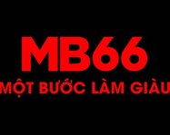 mb66black