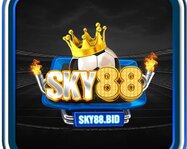 sky88bid's Avatar