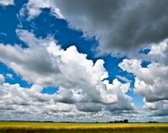 margaretxxbaa's Avatar